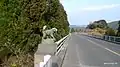野猿（やえん）橋（串間市本城）