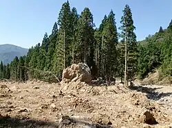 土石流（大畑ノ沢・北入りから南入りへ流出） 学校林手前、新潟・福島豪雨