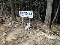 城山山頂