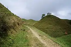 南山牧場