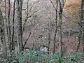 塩釜の冷泉
