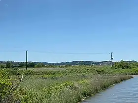 多古光湿原(横芝光町側)