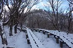 大室山山頂直下の木道