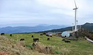風力発電も保安林に立地することが多い