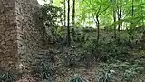 大手町の森(左側に石垣と歩道が見える)