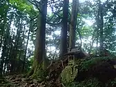 大根ノ山ノ神