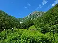 大樺沢上部からの北岳