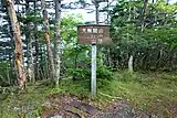 大無間山山頂（シラビソの樹林に囲まれ展望はない）