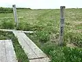 高山植物が咲く平坦な大白森山頂(2011年6月)
