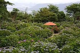 大聖寺