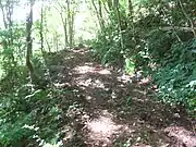 親村を通っていた鎌倉街道