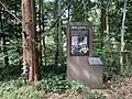 太古の森