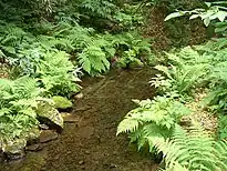 御手洗の水場