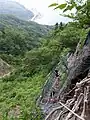 太田山神社 本殿からの風景