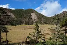 太郎山のお花畑