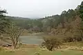 登山口近くの夫婦池
