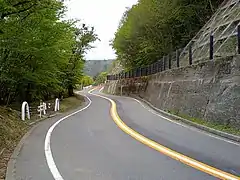 奥多摩周遊道路