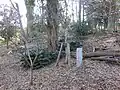 奥沢城址 土塁と標識