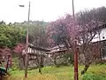 入谷の伝統家屋