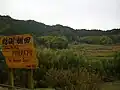稲渕の棚田