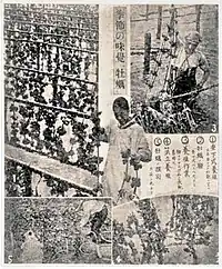 昭和初期のもの。上が杭打式、下がひび建。上図のひび建とやり方が異なることがわかる。