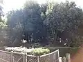宇治陵6号