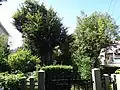 宇治陵8号