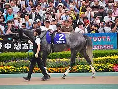 6番人気 アエロリット