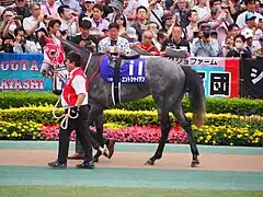 11　エントシャイデン