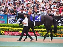 4　サングレーザー