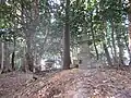 宝篋印塔周辺（豊岡市白山神社）（兵庫県豊岡市小島1188山頂から気比海岸が見える）