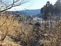 寄ロウバイ園から学校をのぞむ