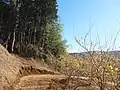 寄ロウバイ園散策路