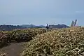 寒風山山頂