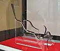 蛇行状鉄器