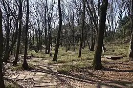 小沢城馬場跡