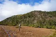 小田代からの田代山