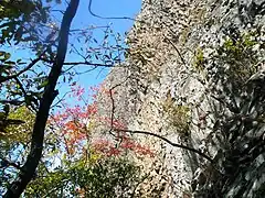 冠ヶ嶽（西の断崖）