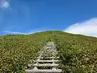 山頂へと続く登山道
