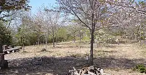 山下城の本城跡