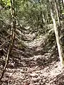 北側にある堀切跡
