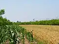市の農家