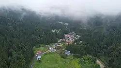 黒鴨の全景