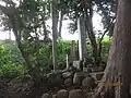 岡崎四郎義實之墓（平塚市岡崎字台5736無量寺手前案内板あり）