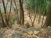 岩茸石山から惣岳山への道