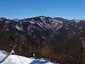 岩茸石山から川苔山(左奥は雲取山)