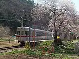 駅に停車中の列車(2004年4月)