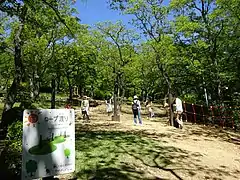 アスレチックコース