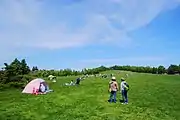 川下公園（2014年6月）