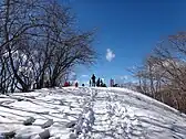 川苔山山頂